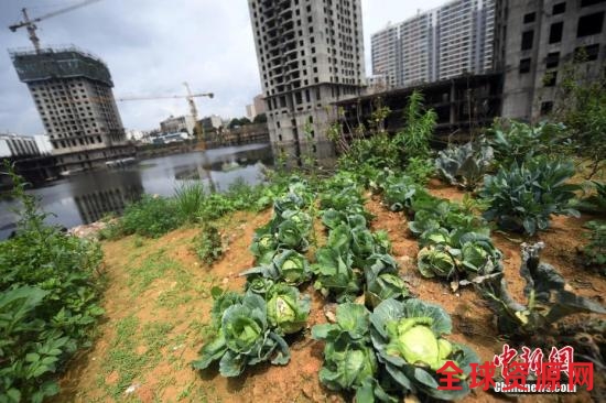 资料图:一搁置8年的城中村改造项目重新启动。中新社记者 李进红 摄 资料图:一搁置8年的城中村改造项目重新启动。中新社记者 李进红 摄
