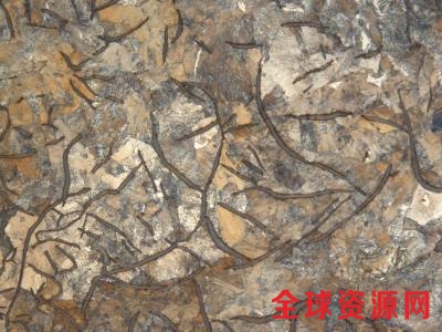 u=2032644591 u=2032644591