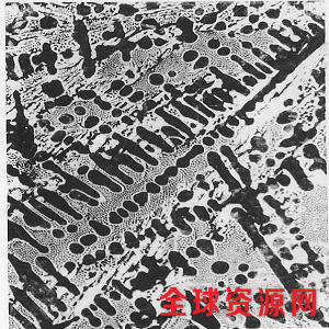 铸铁金相1 铸铁金相1