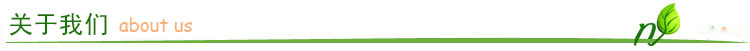 关于我们2.jpg