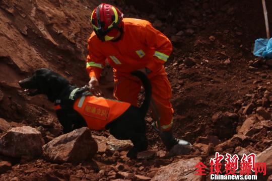 图为消防官兵带领搜救犬在现场救援 昭通市消防支队供图 摄