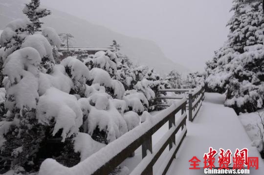 云南多地迎今年首场降雪市民开启“晒雪”模式