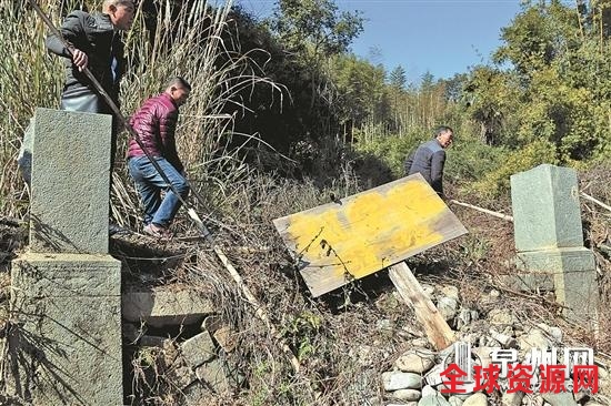 部分遗址长满树木杂草