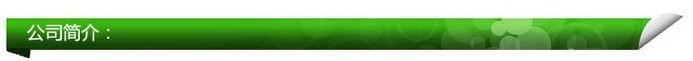 公司简介