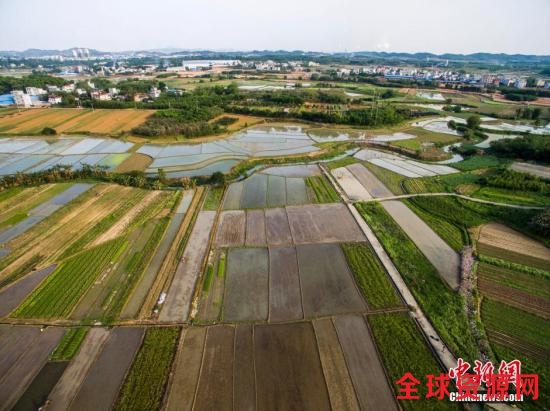 资料图：广西柳州市一处耕地。 黄威铭 摄