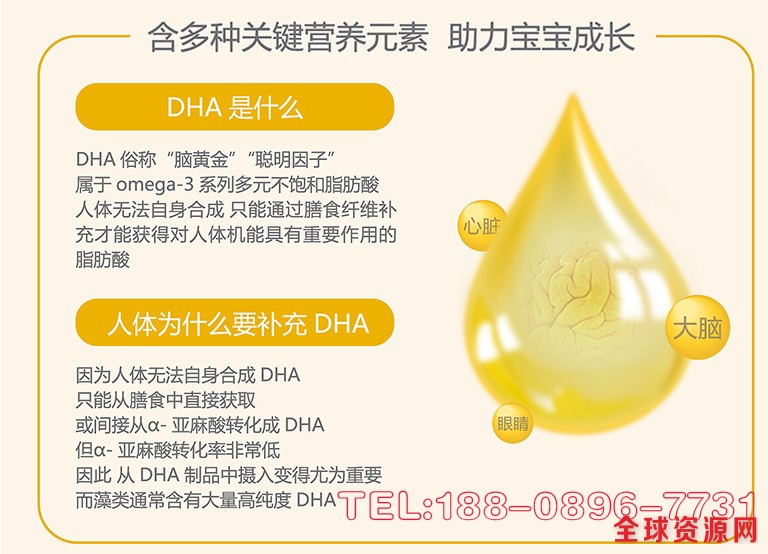 DHA藻油粉加工tel-188-0896-7731.jpg