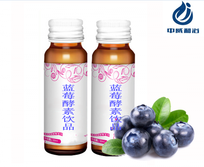 蓝莓酵素饮品_conew1.png