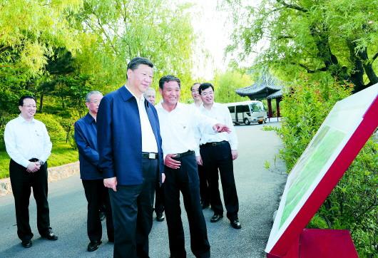 6月12日下午,习近平在威海考察华夏集团生态修复项目。新华社记者 谢环驰 报道