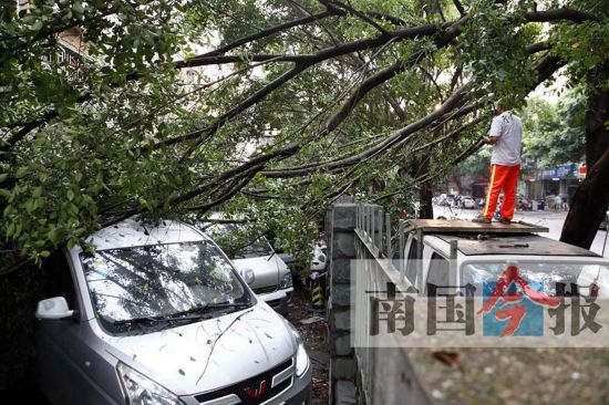 柳州市多地现6级以上强风 狂风掀翻泳池钢架棚(图)