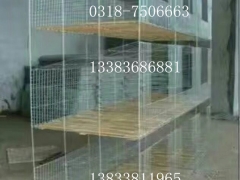鸡笼鸽笼兔笼鹌鹑笼狐狸笼鸭子笼宠物笼运输笼鸽子笼兔子笼貉子笼图3