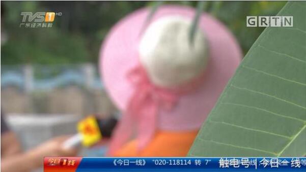 起底地下代孕黑链:14岁少女被骗卖卵 85万包成功