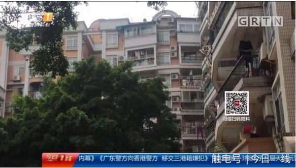 起底地下代孕黑链:14岁少女被骗卖卵 85万包成功