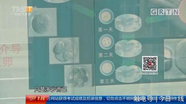 起底地下代孕黑链:14岁少女被骗卖卵 85万包成功