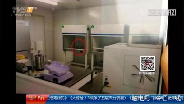 起底地下代孕黑链:14岁少女被骗卖卵 85万包成功