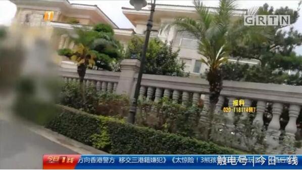 起底地下代孕黑链:14岁少女被骗卖卵 85万包成功