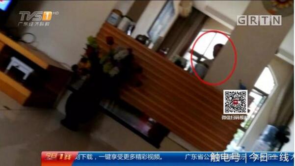 起底地下代孕黑链:14岁少女被骗卖卵 85万包成功