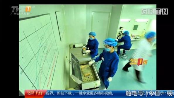 起底地下代孕黑链:14岁少女被骗卖卵 85万包成功