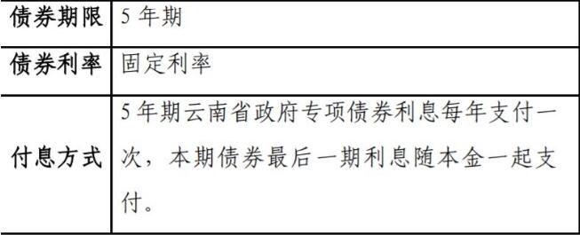 这个地方借债10亿元 抵押物竟是大学学费住宿费等