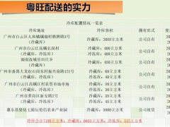 创业项目：食品配送粤旺品牌合伙恩招募图3