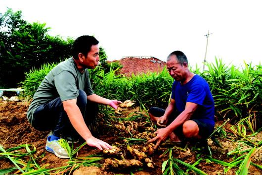在昌乐县红河镇清泉村,农技专家走村入户指导灾后生产。□CFP供图
