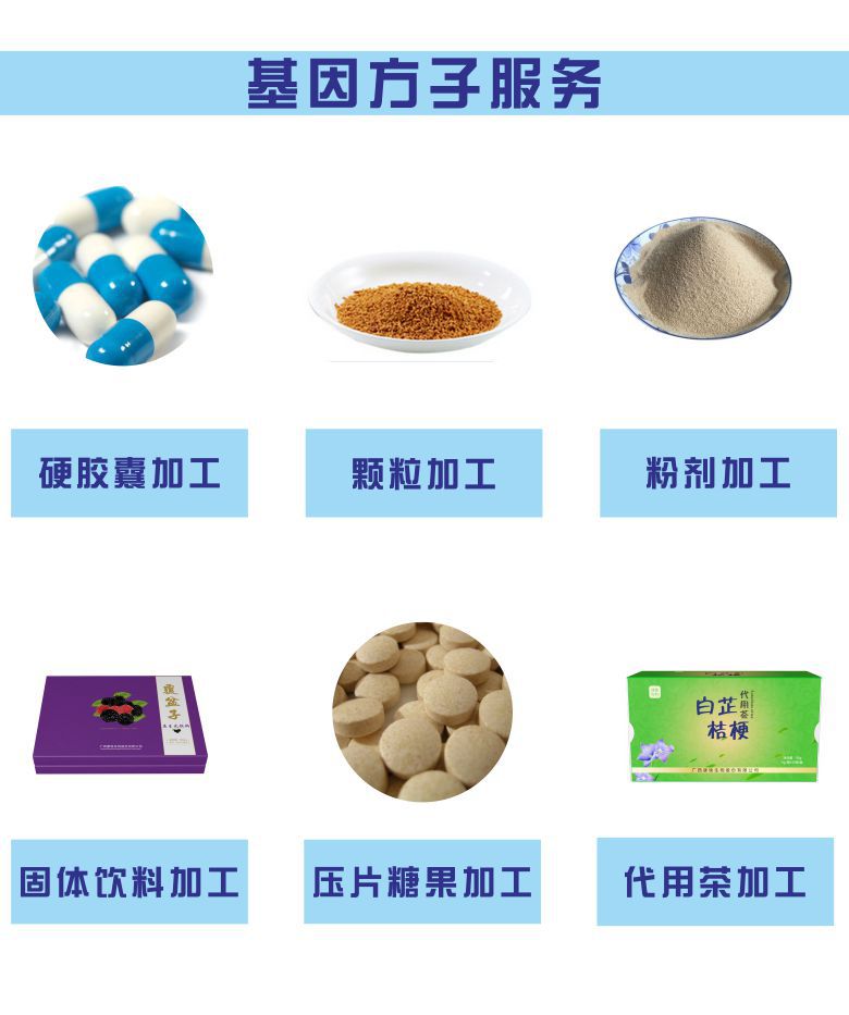 基因方子的服务