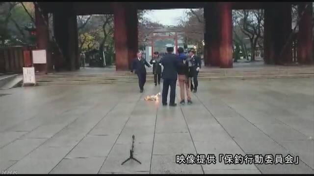点击查看大图