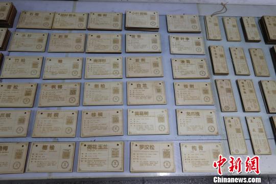 12月17日,江西理工大学学生制作的植物“身份证”。 谢逸杰 摄 12月17日,江西理工大学学生制作的植物“身份证”。 谢逸杰 摄