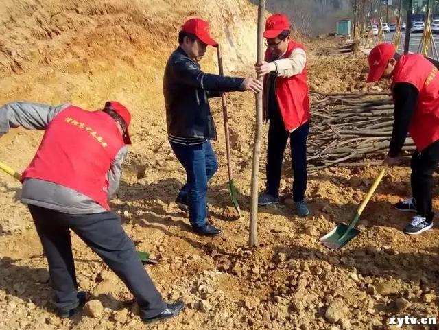 文明是我们的名片 服务是我们的志愿