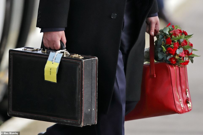 7662426-6516087-Alongside_the_briefcase_there_was_a_festive_looking_bag_topped_w-a-54_1545316929285.jpg