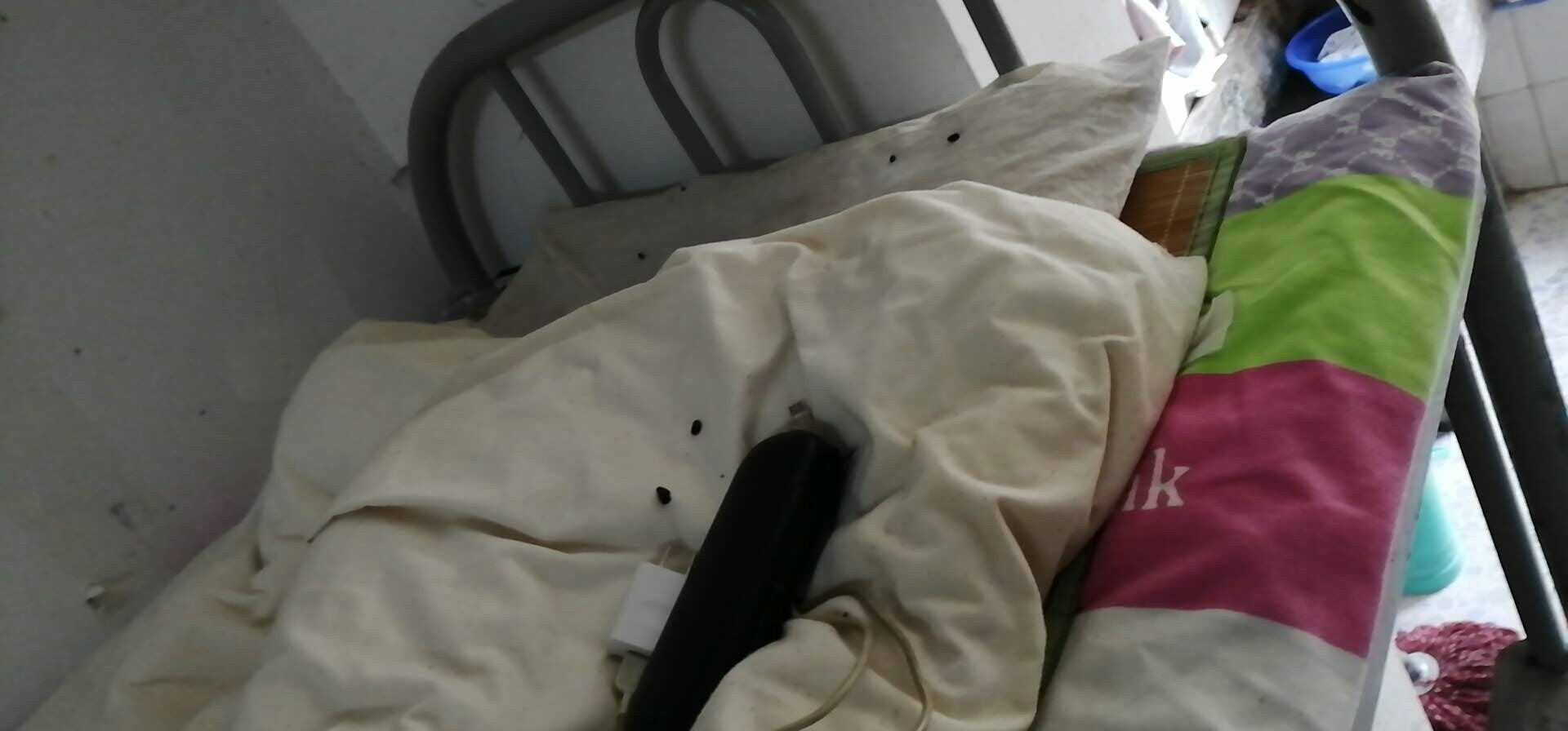 西安高校鼠患肆虐学生患出血热病亡:学校提前放假