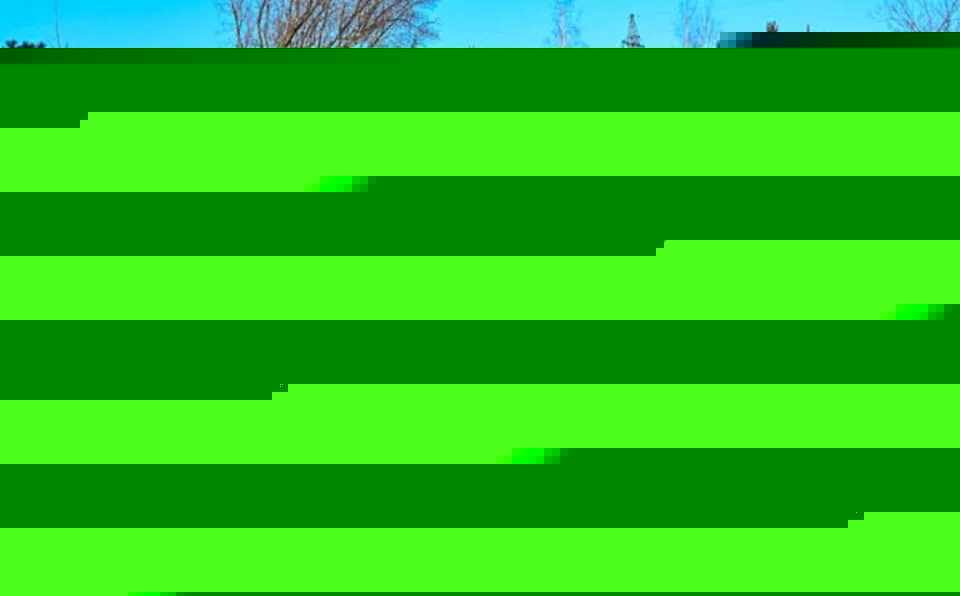 1545898554898319.jpg