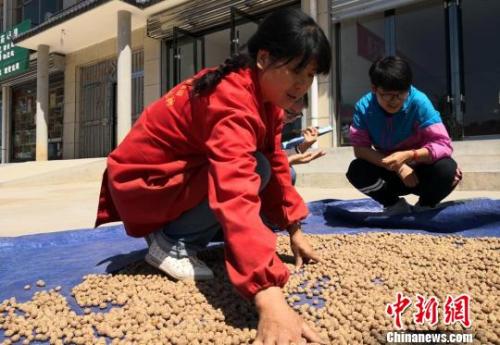 资料图:刘玉桃 摄 点击进入下一页