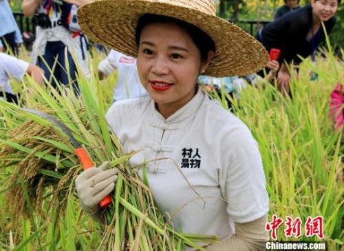 资料图。王身专 摄 点击进入下一页