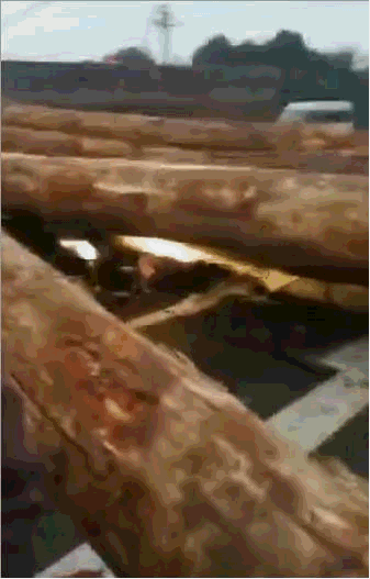 江苏一货车侧翻 巨型圆木翻滚冲向电动车致1死2伤