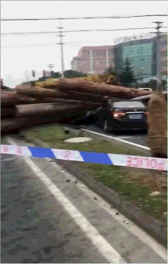 江苏一货车侧翻 巨型圆木翻滚冲向电动车致1死2伤