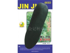 黑人一号黑皮冬瓜种子F-777图1