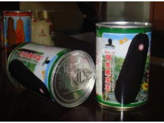 领先黑皮王冬瓜种子811图1