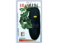 台农一号黑皮冬瓜种子618图1