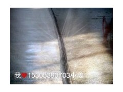 微喷带微喷水带喷雾微喷带喷雾微喷水带图2