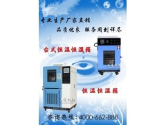 恒温恒湿试验机厂家直销图2