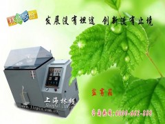 LRHS-108-RY盐雾箱厂家直销图3