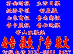 济南齐鲁晚报时报生活报大众日报营业执照税务登记证挂失登报图3