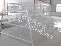 肉鸡笼 肉种鸡笼 现代化养鸡设备 热镀锌阶梯式鸡笼图1