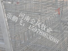 肉鸡笼 肉种鸡笼 现代化养鸡设备 热镀锌阶梯式鸡笼图2