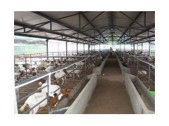 湖北哪里有卖肉羊的，湖北适合养殖肉羊吗信息来自山东汇泉牧业图1