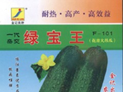 绿宝王花青大吊瓜种子101图1