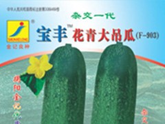 宝丰花青大吊瓜种子903图1