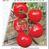 金玉石699石头蕃茄种子--无限生长型