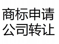 海宁代办公司注册找最专业的海宁代办公司服务机构图1