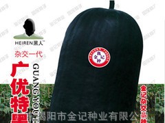 广优特黑三号黑皮冬瓜种子F-911图1